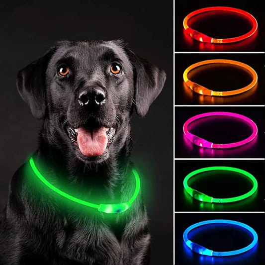 LED Dog Collar USB – 3 Modes Luminous Safety Collar