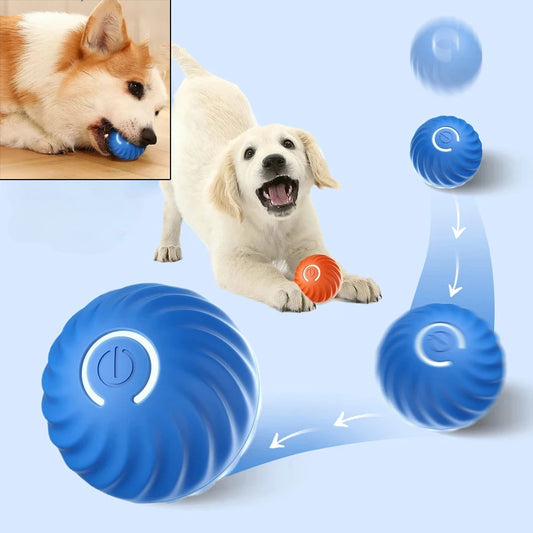 Automatic Moving Dog Toy Ball – USB Smart Ball